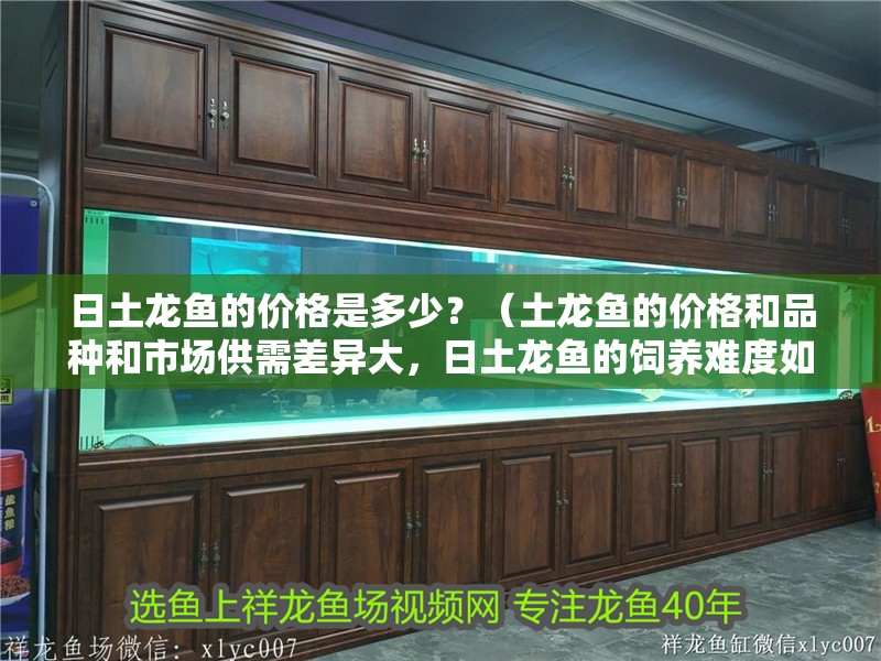 日土龍魚的價格是多少？（土龍魚的價格和品種和市場供需差異大，日土龍魚的飼養難度如何）