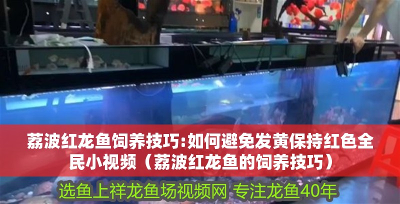 荔波紅龍魚飼養技巧:如何避免發黃保持紅色全民小視頻（荔波紅龍魚的飼養技巧）