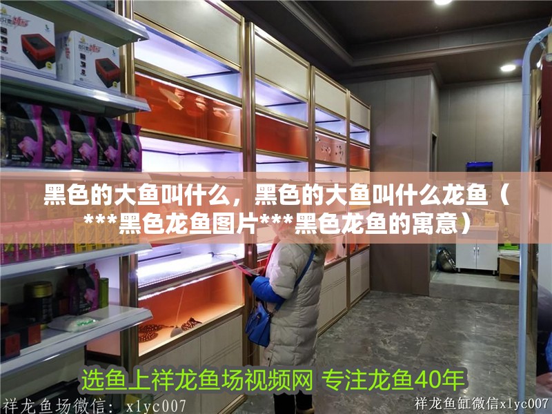 黑色的大魚叫什么，黑色的大魚叫什么龍魚（***黑色龍魚圖片***黑色龍魚的寓意）