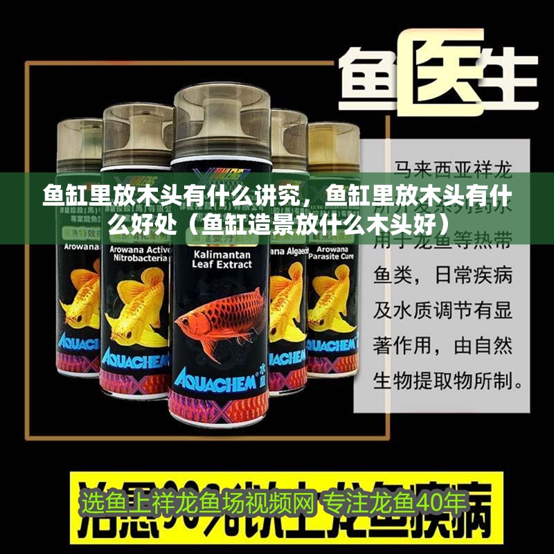 魚缸里放木頭有什么講究，魚缸里放木頭有什么好處（魚缸造景放什么木頭好）