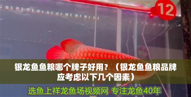 銀龍魚魚糧哪個牌子好用？（銀龍魚魚糧品牌應考慮以下幾個因素）