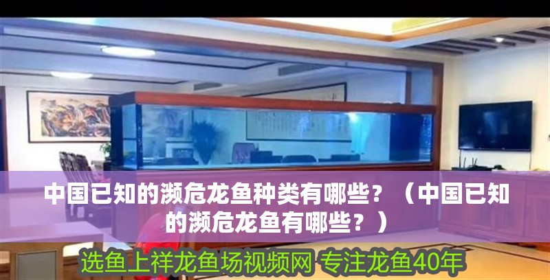 中國已知的瀕危龍魚種類有哪些？（中國已知的瀕危龍魚有哪些？）