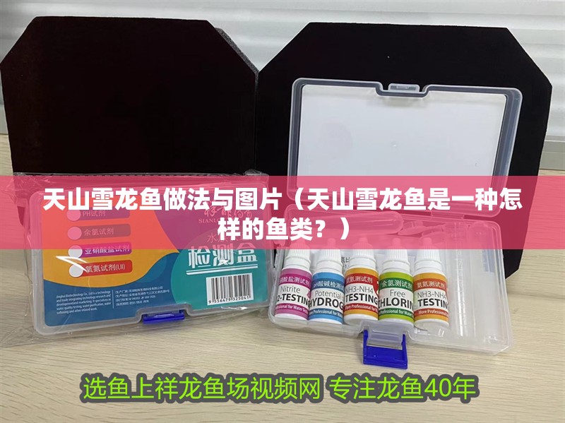 <strong><mark>天山</mark></strong>雪龍魚做法與圖片（<strong><mark>天山</mark></strong>雪龍魚是一種怎樣的魚類？）