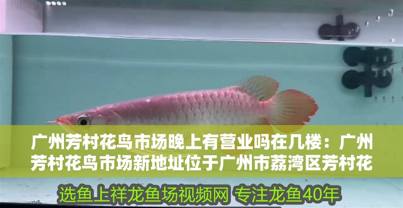 廣州芳村花鳥市場晚上有營業(yè)嗎在幾樓：廣州芳村花鳥市場新地址位于廣州市荔灣區(qū)芳村花鳥市場