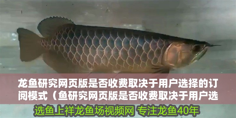龍魚研究網頁版是否收費取決于用戶選擇的訂閱模式（魚研究網頁版是否收費取決于用戶選擇的訂閱模式）