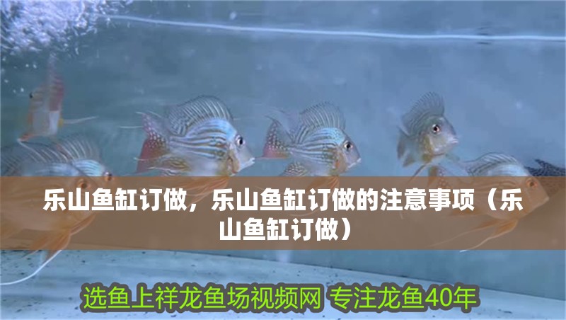 樂山魚缸訂做，樂山魚缸訂做的注意事項（樂山魚缸訂做）