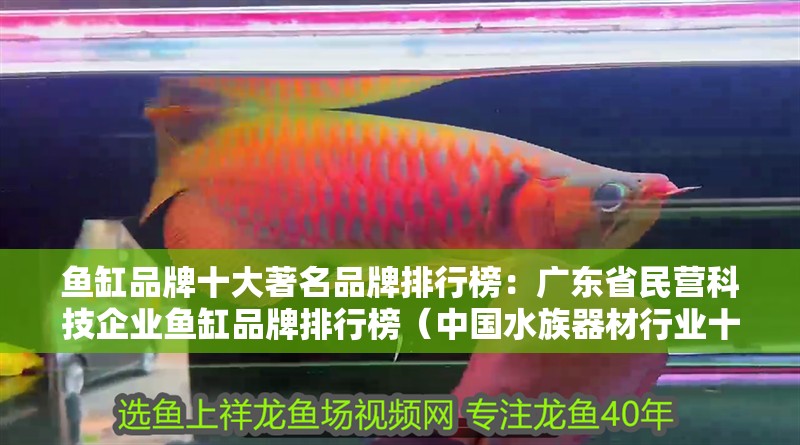 魚缸品牌十大著名品牌排行榜：廣東省民營科技企業魚缸品牌排行榜（中國<strong><mark>水族器材</mark></strong>行業十大品牌）