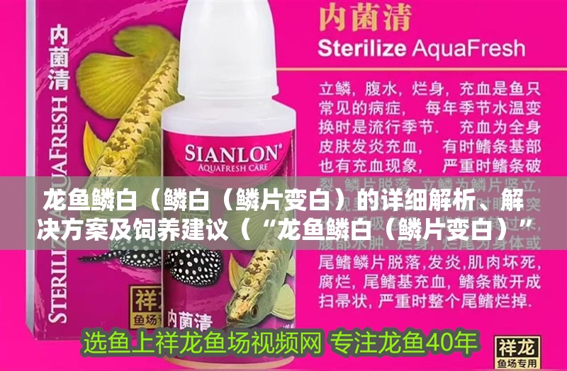 龍魚鱗白（鱗白（鱗片變白）的詳細解析、解決方案及飼養建議（“龍魚鱗白（鱗片變白）”詳細解析、解決方案及飼養建議）