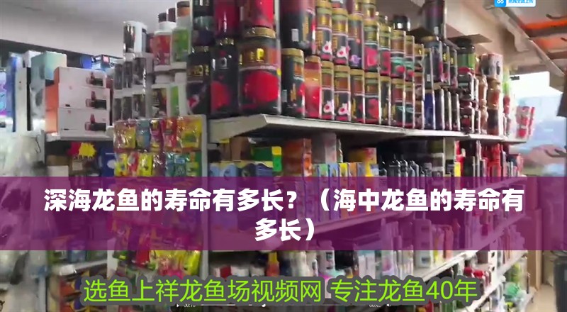 深海龍魚的壽命有多長？（海中龍魚的壽命有多長）