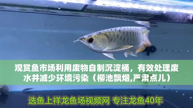 觀賞魚市場利用廢物自制沉淀桶，有效處理廢水并減少環境污染（柳池飄煙,嚴肅點兒）