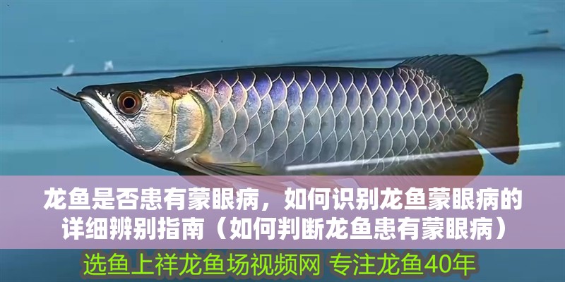 龍魚是否患有蒙眼病，如何識別龍魚蒙眼病的詳細辨別指南（如何判斷龍魚患有蒙眼病）