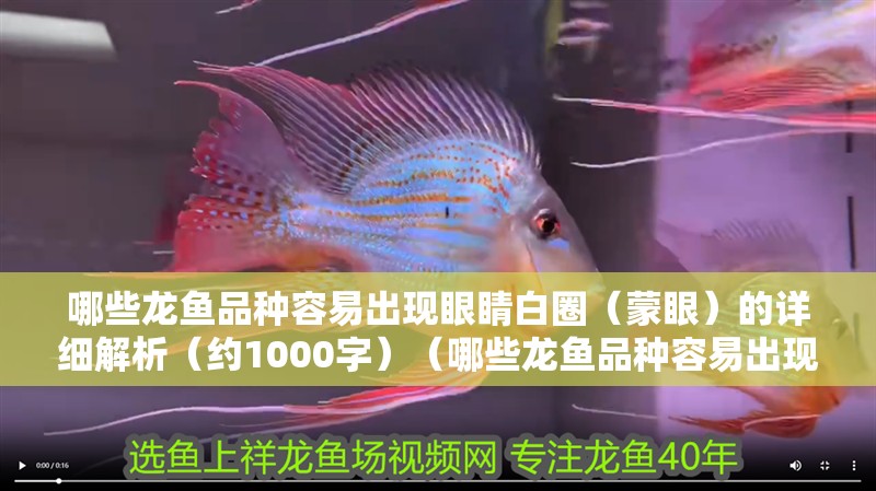 哪些龍魚品種容易出現眼睛白圈（蒙眼）的詳細解析（約1000字）（哪些龍魚品種容易出現眼睛白圈（蒙眼））