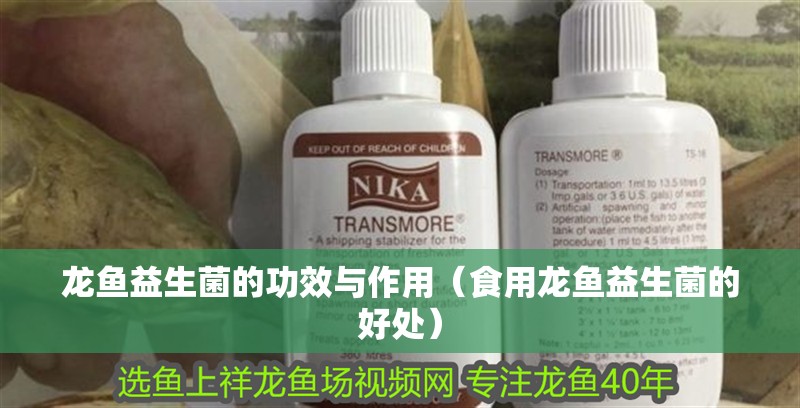 龍魚益生菌的功效與作用（食用龍魚益生菌的好處）