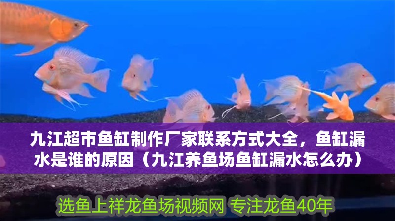 九江超市魚缸制作廠家聯系方式大全，魚缸漏水是誰的原因（九江養魚場魚缸漏水怎么辦）