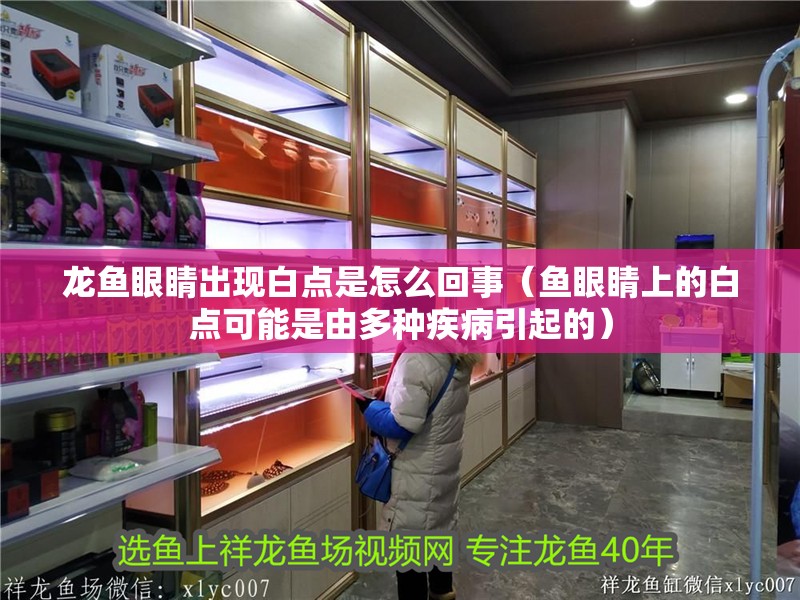 龍魚眼睛出現白點是怎么回事（魚眼睛上的白點可能是由多種疾病引起的）