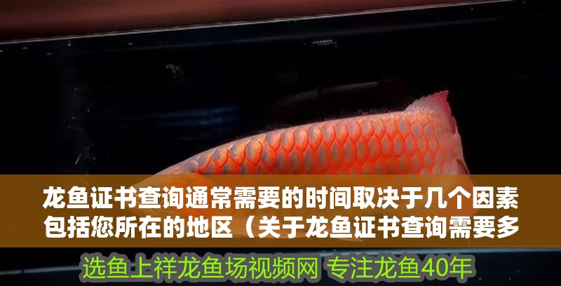 龍魚證書查詢通常需要的時間取決于幾個因素包括您所在的地區（關于龍魚證書查詢需要多長時間？）