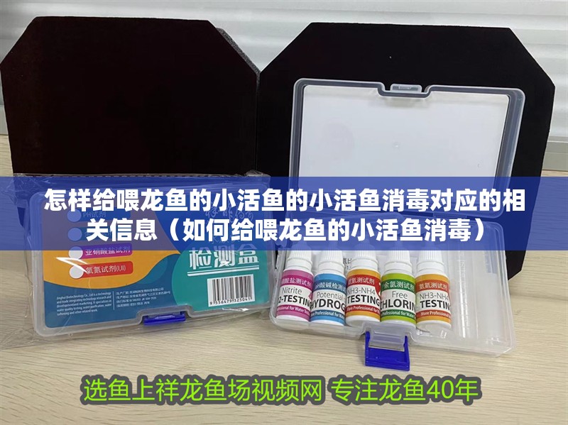 怎樣給喂龍魚的小活魚的小活魚消毒對應的相關信息（如何給喂龍魚的小活魚消毒）
