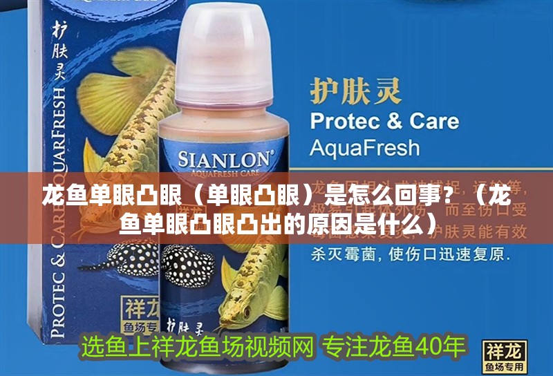 龍魚單眼凸眼（單眼凸眼）是怎么回事？（龍魚單眼凸眼凸出的原因是什么）