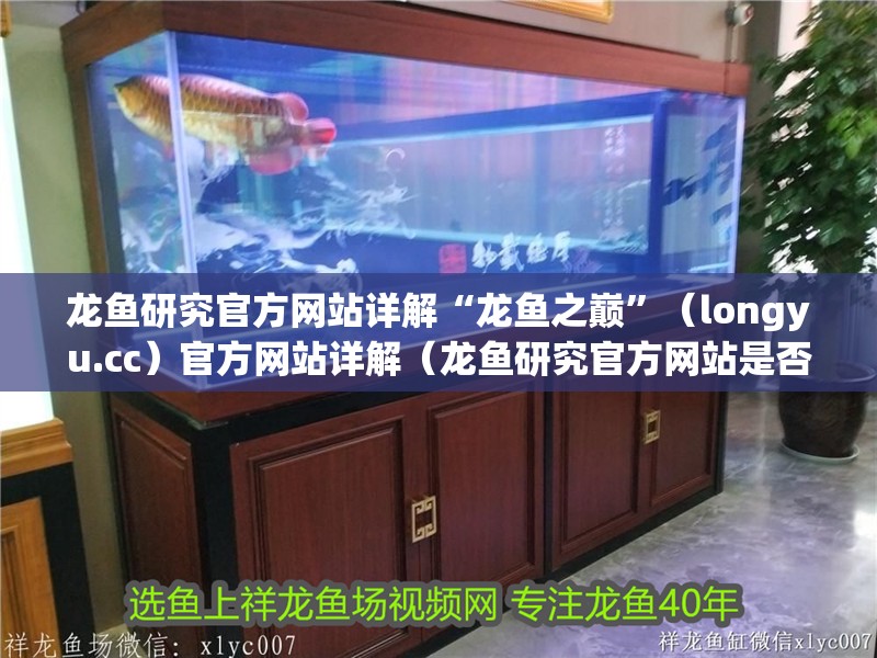 龍魚研究官方網(wǎng)站詳解“龍魚之巔”（longyu.cc）官方網(wǎng)站詳解（龍魚研究官方網(wǎng)站是否可以成為龍魚愛好者的社交平臺？）