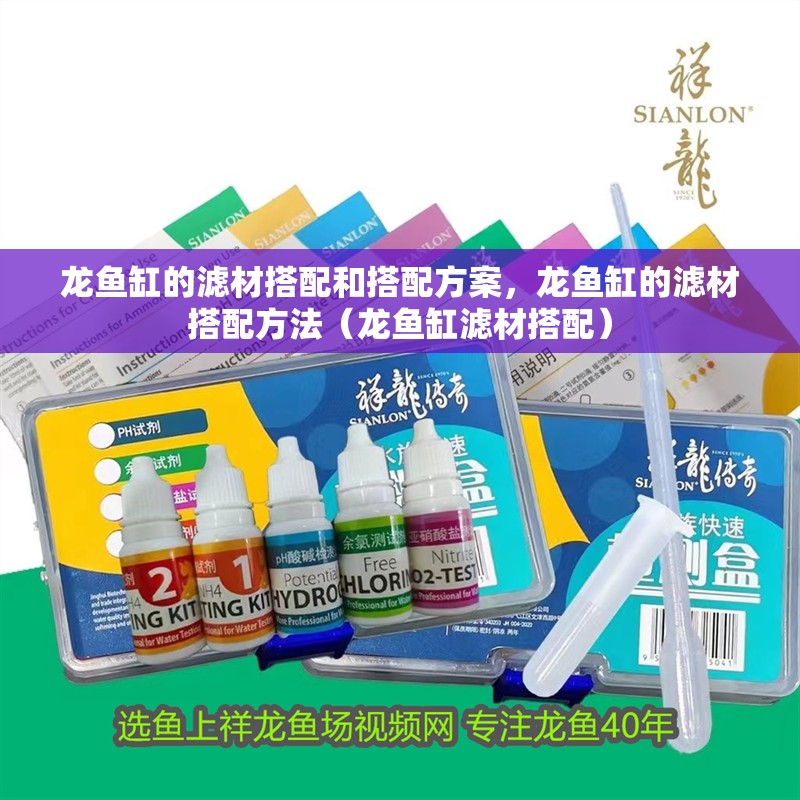 龍魚缸的濾材搭配和搭配方案，龍魚缸的濾材搭配方法（龍魚缸濾材搭配）