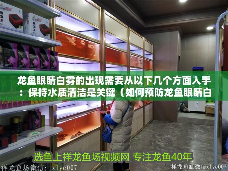 龍魚眼睛白霧的出現(xiàn)需要從以下幾個方面入手：保持水質(zhì)清潔是關(guān)鍵（如何預(yù)防龍魚眼睛白霧的出現(xiàn)） 龍魚眼睛白霧的出現(xiàn)需要從以下幾個方面入手：保持水質(zhì)清潔是關(guān)鍵（如何預(yù)防龍魚眼睛白霧的出現(xiàn)） 龍魚百科 第2張