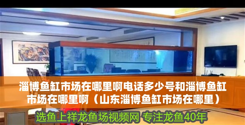 淄博魚缸市場在哪里啊電話多少號和淄博魚缸市場在哪里啊（山東淄博魚缸市場在哪里）