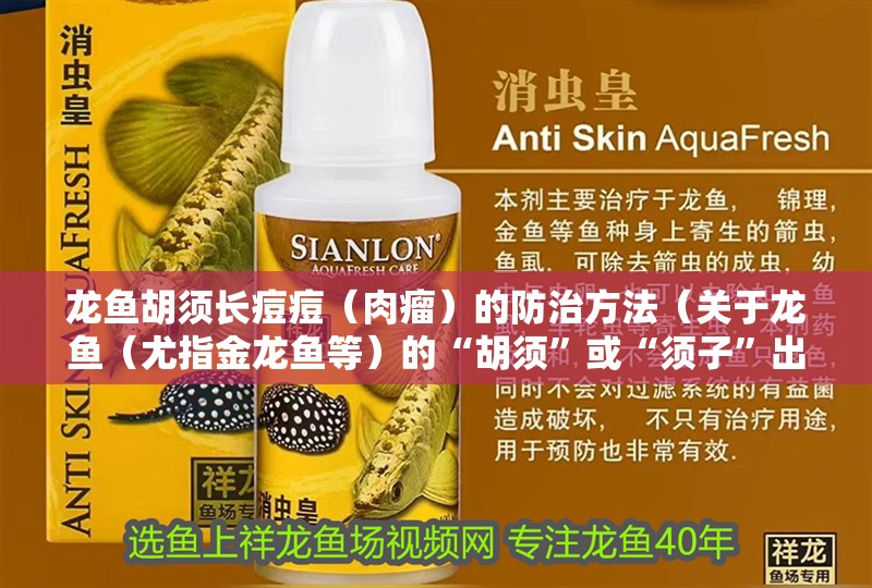 龍魚胡須長痘痘（肉瘤）的防治方法（關(guān)于龍魚（尤指金龍魚等）的“胡須”或“須子”出現(xiàn)肉瘤的防治問題）