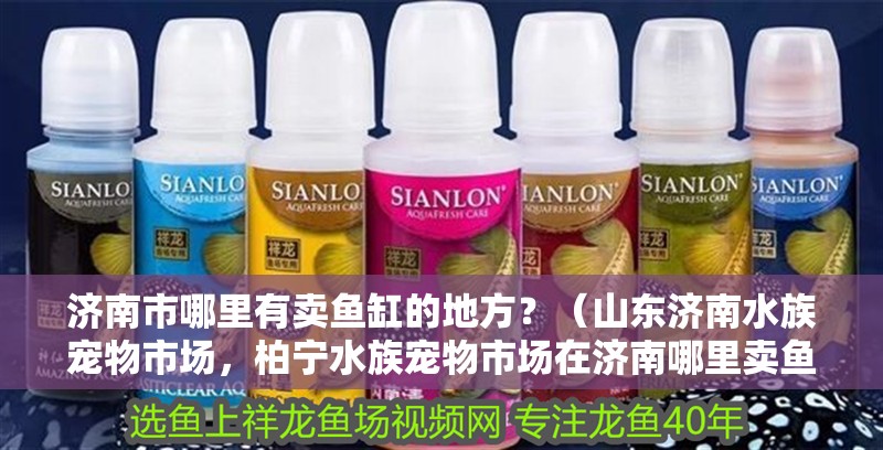 濟(jì)南市哪里有賣魚缸的地方？（山東濟(jì)南水族寵物市場(chǎng)，柏寧水族寵物市場(chǎng)在濟(jì)南哪里賣魚缸配件）