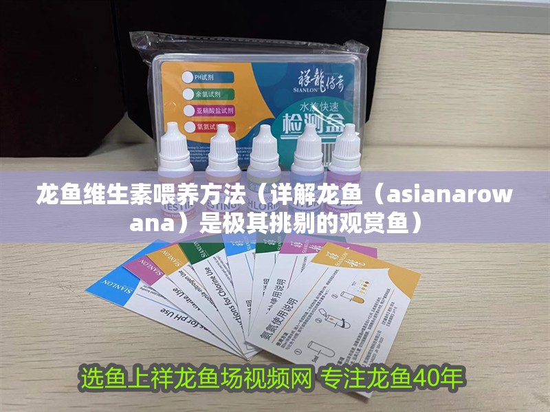 龍魚維生素喂養方法（詳解龍魚（asianarowana）是極其挑剔的觀賞魚） 龍魚維生素喂養方法（詳解龍魚（asianarowana）是極其挑剔的觀賞魚） 龍魚百科 第5張