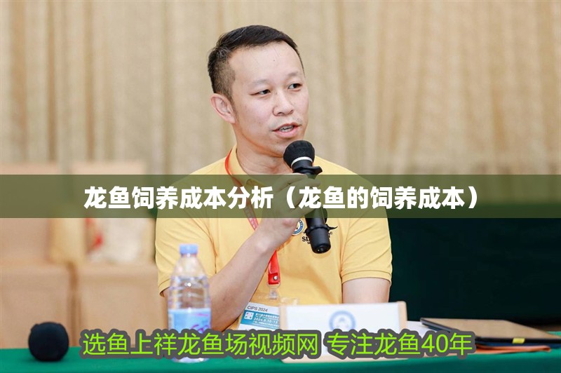 龍魚飼養成本分析（龍魚的飼養成本）