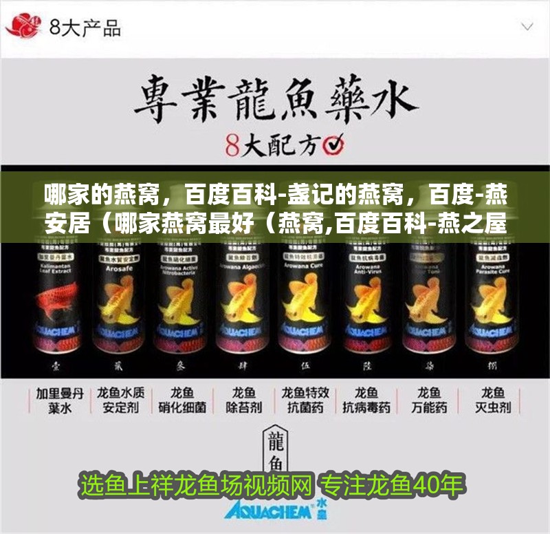 哪家的燕窩，百度百科-盞記的燕窩，百度-燕安居（哪家燕窩最好（燕窩,百度百科-燕之屋、周豐豐燕窩、周豐豐燕窩））