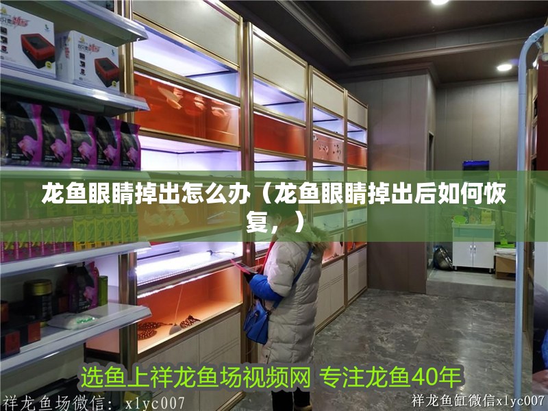 龍魚眼睛掉出怎么辦（龍魚眼睛掉出后如何恢復(fù)，）