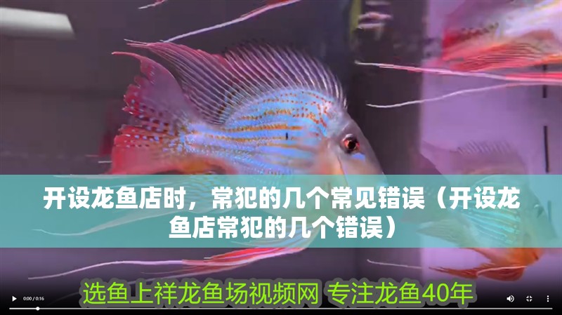 開設龍魚店時，常犯的幾個常見錯誤（開設龍魚店常犯的幾個錯誤）