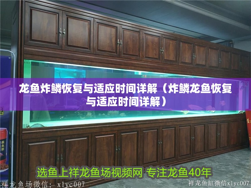 龍魚炸鱗恢復(fù)與適應(yīng)時(shí)間詳解（炸鱗龍魚恢復(fù)與適應(yīng)時(shí)間詳解）