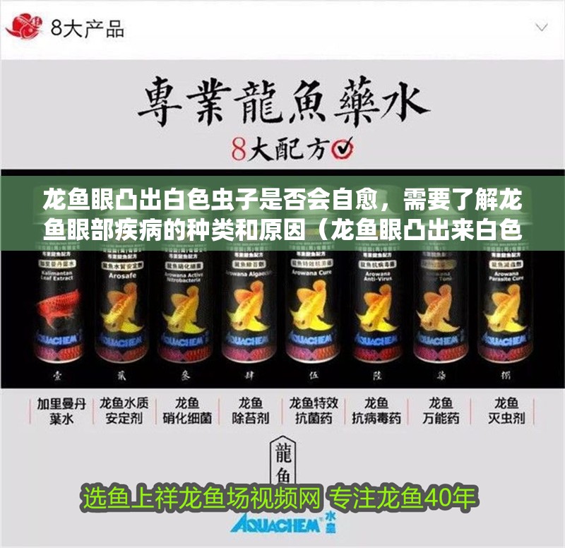 龍魚眼凸出白色蟲子是否會自愈，需要了解龍魚眼部疾病的種類和原因（龍魚眼凸出來白色蟲子是否會自愈，需要了解龍魚眼部疾病的種類和原因）