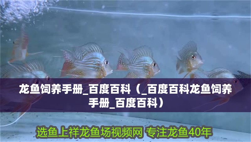 龍魚飼養手冊_百度百科（_百度百科龍魚飼養手冊_百度百科） 龍魚飼養手冊_百度百科（_百度百科龍魚飼養手冊_百度百科） 龍魚百科 第3張