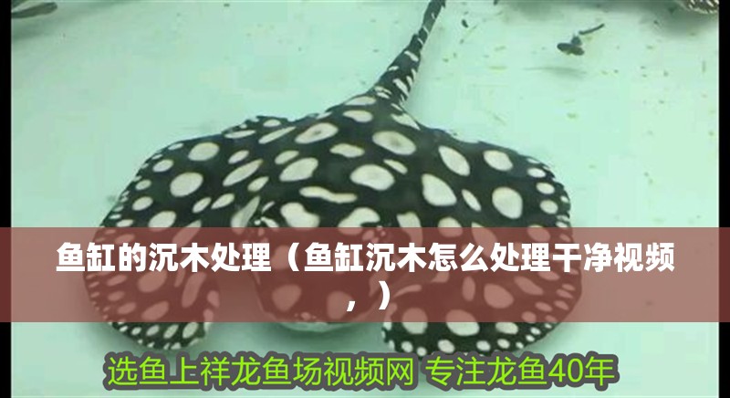 魚缸的沉木處理（魚缸沉木怎么處理干凈視頻，）