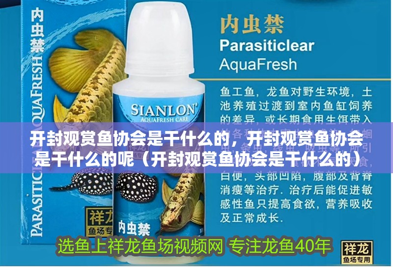 開封觀賞魚協會是干什么的，開封觀賞魚協會是干什么的呢（開封觀賞魚協會是干什么的）