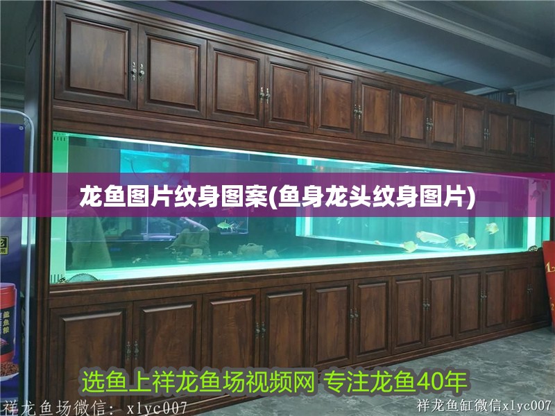 龍魚圖片紋身圖案(魚身龍頭紋身圖片)