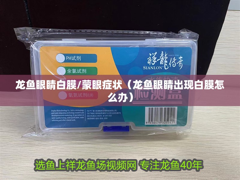 龍魚眼睛白膜/蒙眼癥狀（龍魚眼睛出現白膜怎么辦）