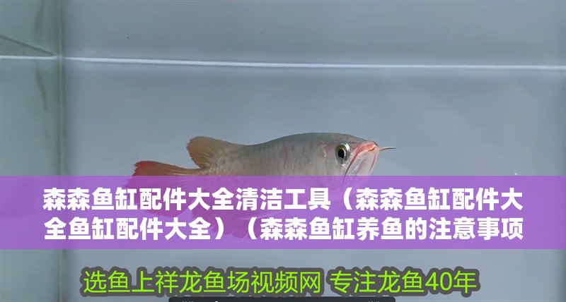森森魚缸配件大全清潔工具（森森魚缸配件大全魚缸配件大全）（森森魚缸養(yǎng)魚的注意事項）