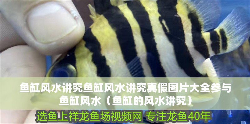 魚缸風(fēng)水講究魚缸風(fēng)水講究真假圖片大全參與魚缸風(fēng)水（魚缸的風(fēng)水講究）