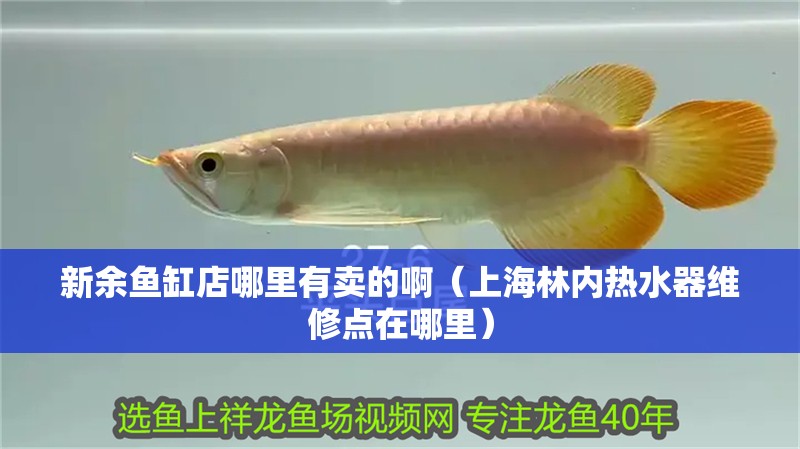 新余魚缸店哪里有賣的啊（上海林內熱水器維修點在哪里）