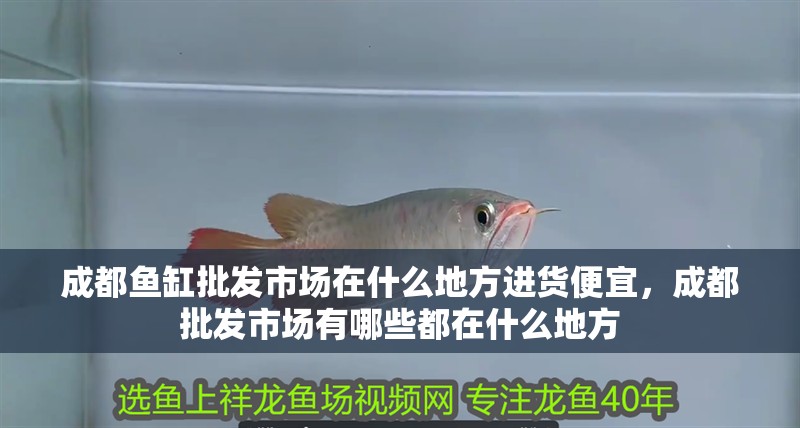 成都魚缸批發市場在什么地方進貨便宜，成都批發市場有哪些都在什么地方