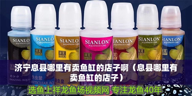 濟寧息縣哪里有賣魚缸的店子啊（息縣哪里有賣魚缸的店子）