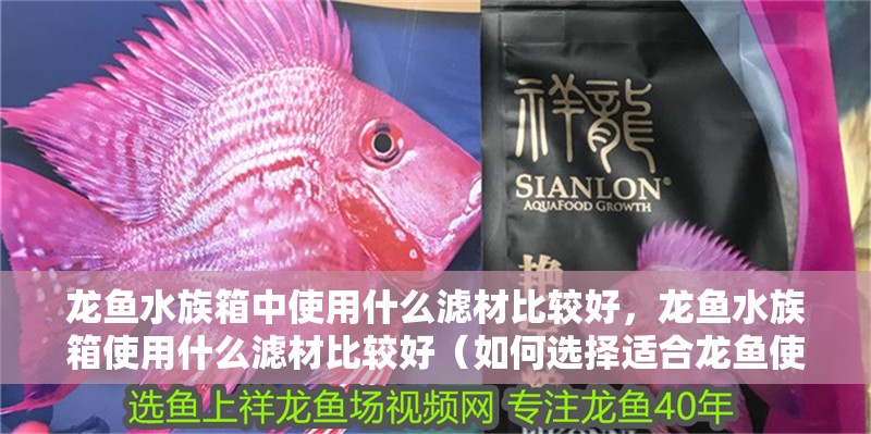 龍魚水族箱中使用什么濾材比較好，龍魚水族箱使用什么濾材比較好（如何選擇適合龍魚使用的濾材）