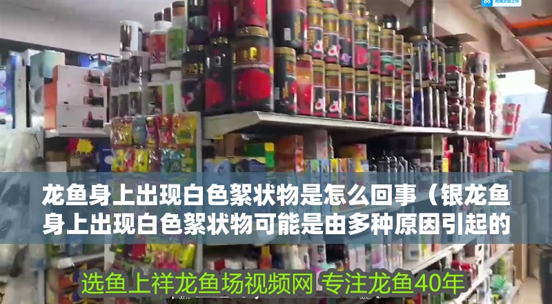 龍魚身上出現白色絮狀物是怎么回事（銀龍魚身上出現白色絮狀物可能是由多種原因引起的）