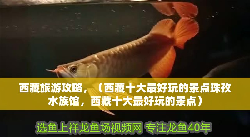 西藏旅游攻略，（西藏十大最好玩的景點(diǎn)珠孜水族館，西藏十大最好玩的景點(diǎn)）