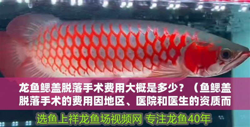 龍魚鰓蓋脫落手術費用大概是多少？（魚鰓蓋脫落手術的費用因地區、醫院和醫生的資質而異）