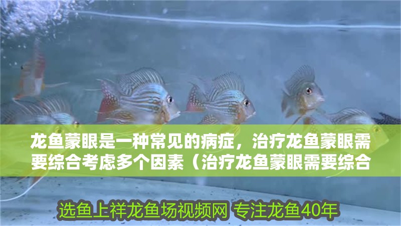 龍魚蒙眼是一種常見的病癥，治療龍魚蒙眼需要綜合考慮多個因素（治療龍魚蒙眼需要綜合考慮多個因素以下是一些建議）